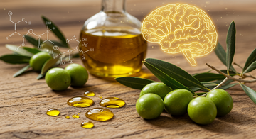 Polifenoller ve Beyin Sağlığı