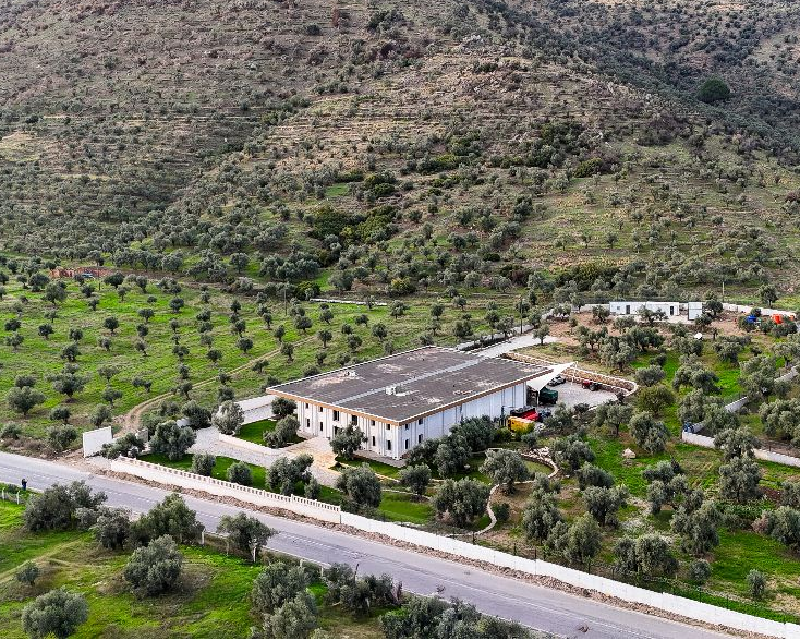 Delice Farm House zeytinlik